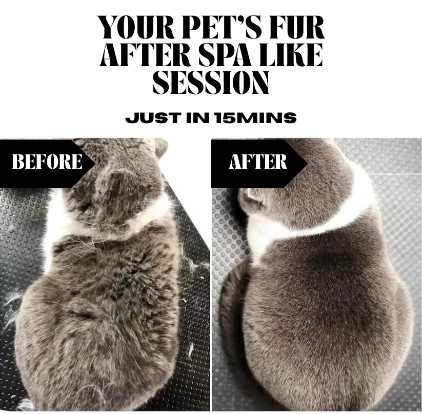 Pet Shedding Kit | Best for Dogs and Cats